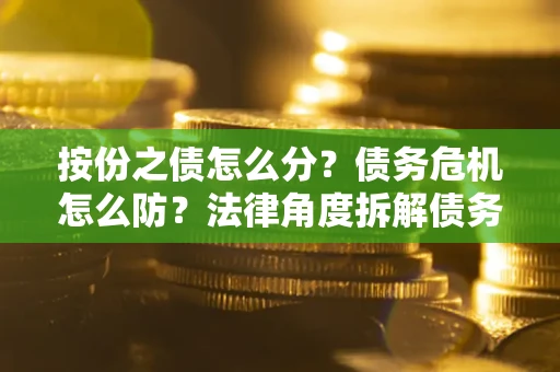 武汉按份之债怎么分？债务危机怎么防？法律角度拆解债务分配与风险自保指南