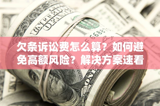 武汉欠条诉讼费怎么算？如何避免高额风险？解决方案速看！